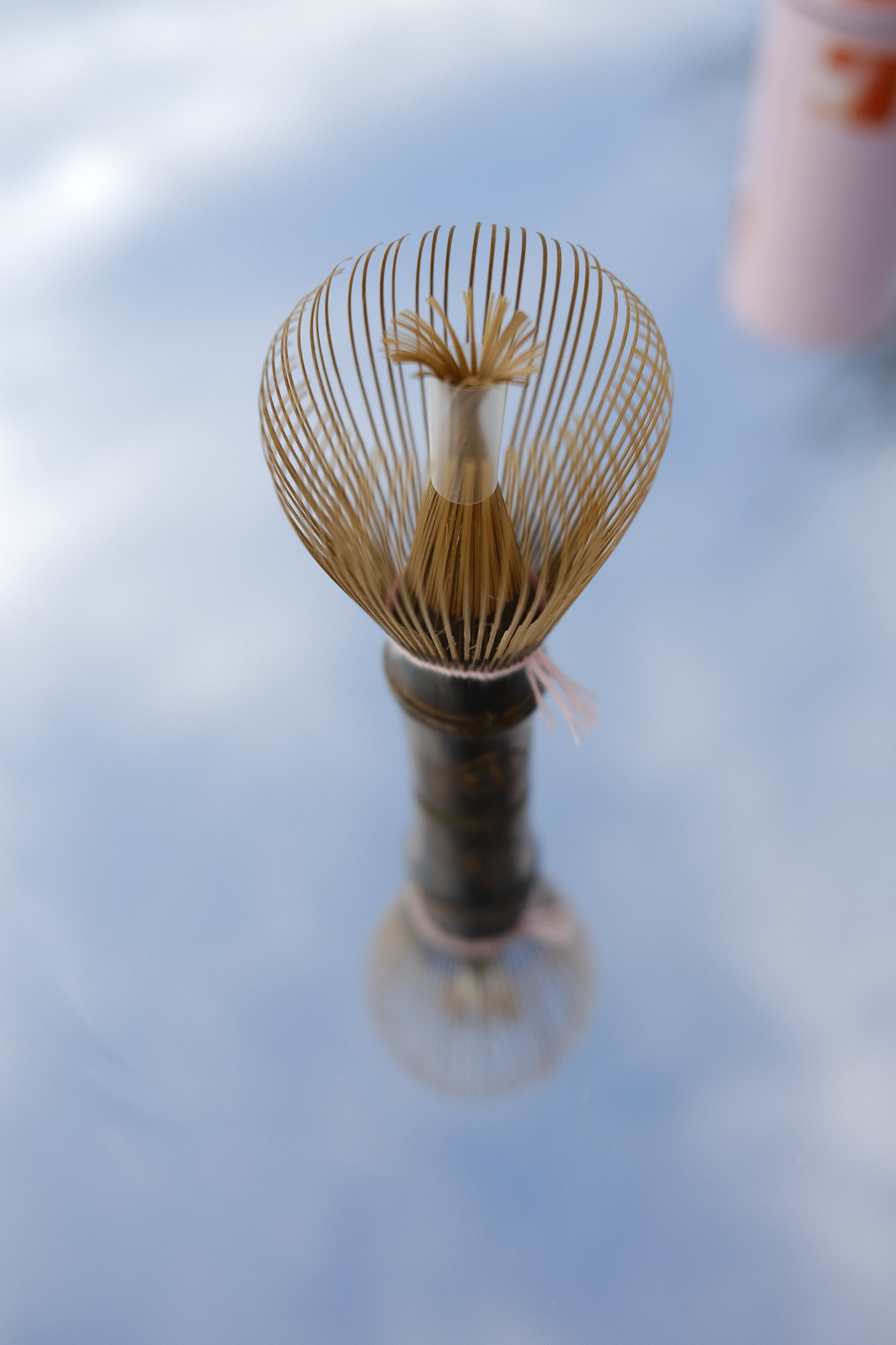 Shin Chasen  - Dark Bamboo 100 prongs (Pink Thread)