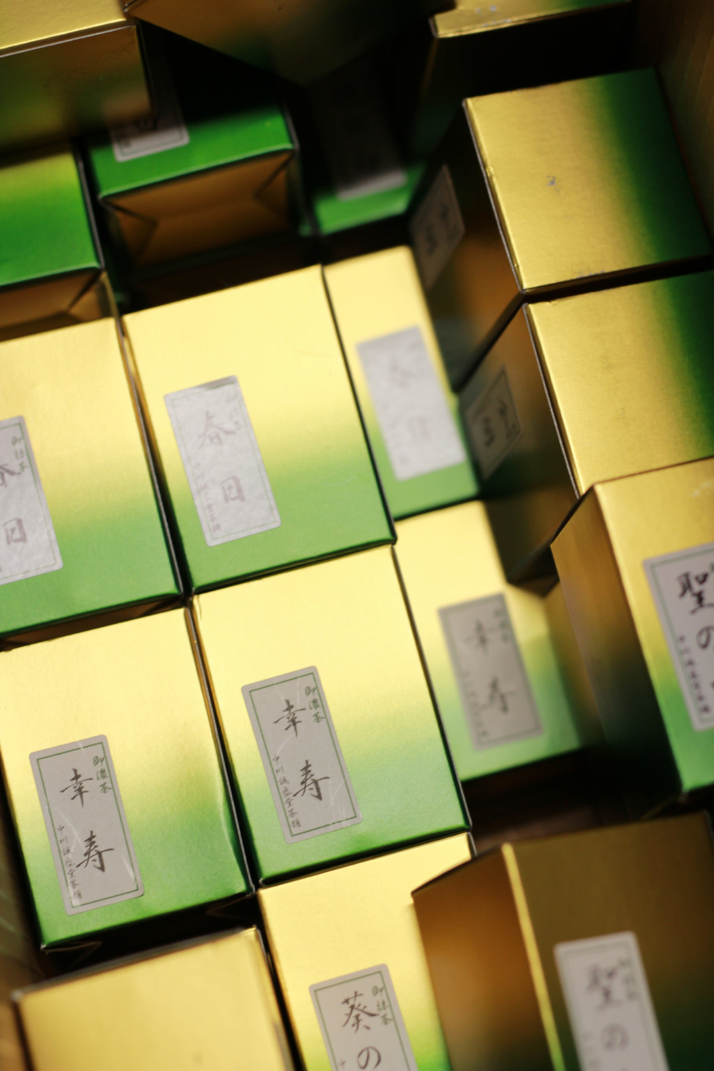 SEISEIDO - AOI NO UE